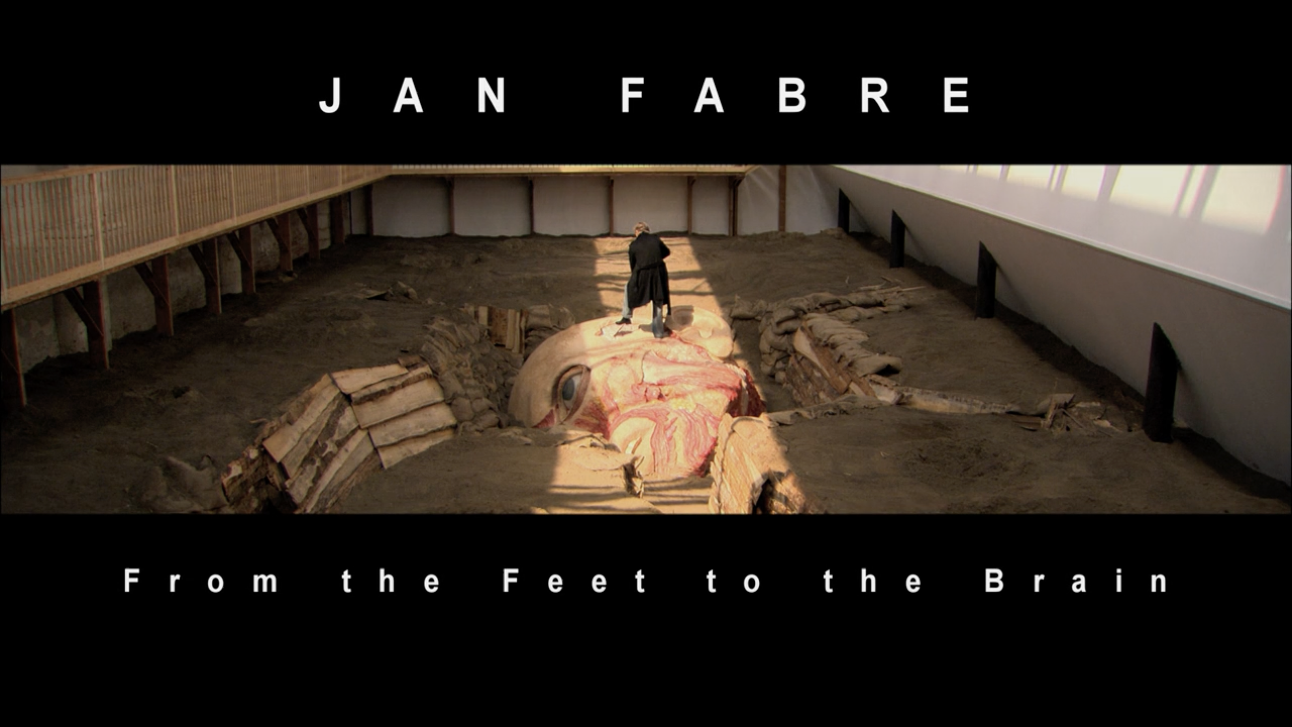 From the feet to the brain